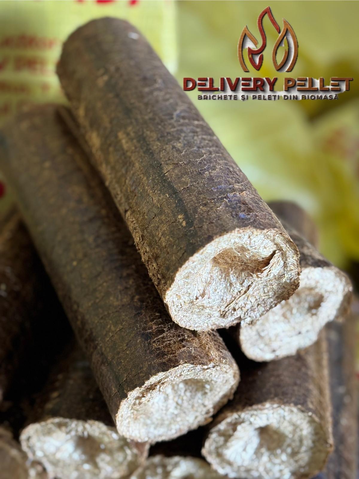 WhatsApp Image 2024-11-20 at 12.23.36 - Copy.jpeg